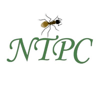 Newtown_Pest Profile Picture