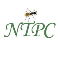 Newtown Termite & Pest Control(@Newtown_Pest) 's Twitter Profile Photo