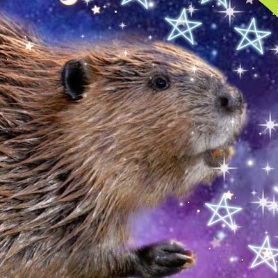 BoberFN's profile picture. 