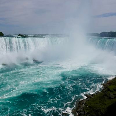 bflony123's profile picture. Buffalo Bills,reading, traveling