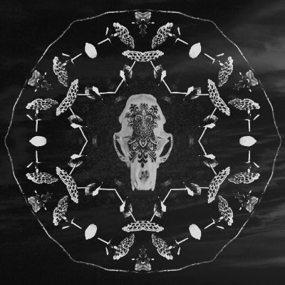 Evil EDM and glitchy industrial producer from Sacramento, CA.