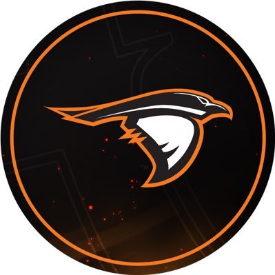 Official @AndersonU Esports | Member of the National Association of College Esports