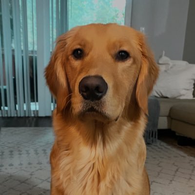 harriet_slater's profile picture. 