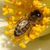 Wildlife Trust SW Wales - Swansea Group (@wtsww_swansea) Twitter profile photo Wildlife Trust SW Wales - Swansea Group (@wtsww_swansea) Twitter profile photo