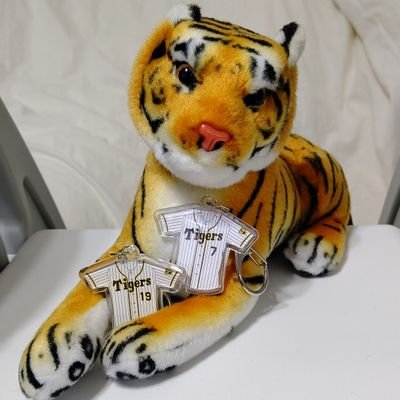 r_tointigers Profile Picture