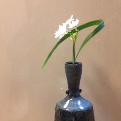 So_sen's profile picture. ikebana  (flower art) collaborative live (performance with DJs, dancers, musicians, etc... いけばな今井蒼泉／龍生派
