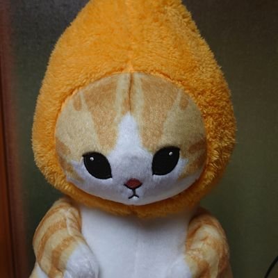 2021年12月からコンカフェ巡り8ヶ月で50軒目、14ヶ月で100軒目！現在は121軒目です。地下アイドルは2022年4月から、数えていないけど100以上のグループさんを見ました。コロナ禍の異世界旅という感じで見たことのない世界を見てきましたが、コンカフェ、アイドルさんオタク卒業。これからはOBです！趣味国内旅行〜