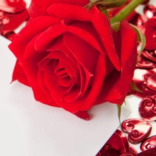 Rosannadanna59's profile picture. 