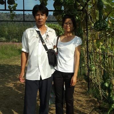 SuwakoneS's profile picture. 