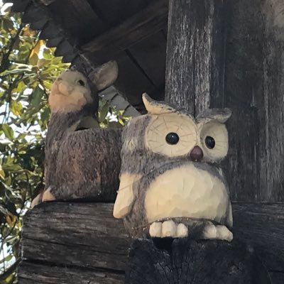 lendealejandra's profile picture. 