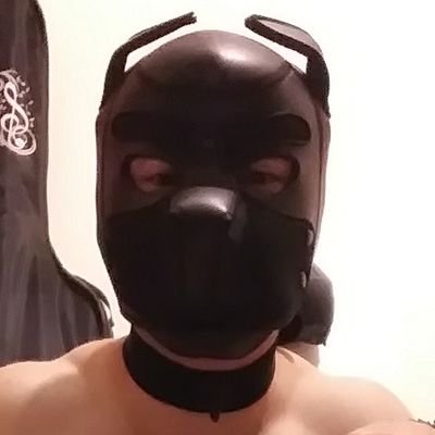 soy un perrito🐶Switc que le gusta mucho el BDSM, el bondage,adoración de pies,me gusta ir experimentando de apoco diversas cosas😳🐶☺🐾wooff wooff.