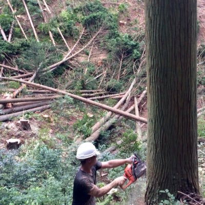 今年中に独立するため奮闘中！京都で独立します。林業以外も興味があり、色々な経験をしたい！林業関係だけじゃない事も上げたりしています。