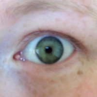 Tidi (@notovogons) 's Twitter Profile Photo