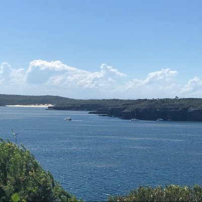 xiaopingluUOW's profile picture. 