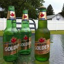 Jan   Delaney - @jmd3522 - Twitter