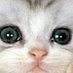 drohno (@drohno_) Twitter profile photo drohno (@drohno_) Twitter profile photo