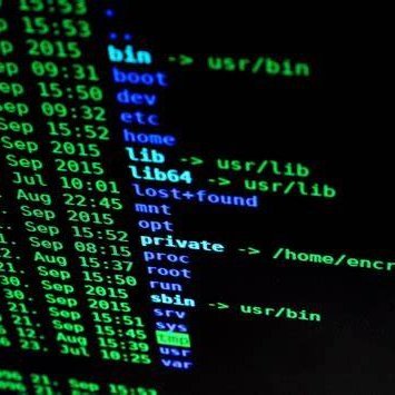 PyGorillaz's profile picture. Coder=python|+java