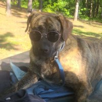 RangerDean (@rangerdean17) 's Twitter Profile