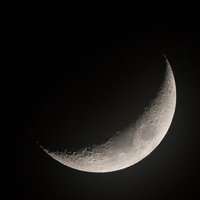 Moon(@MoonTree01) 's Twitter Profile Photo