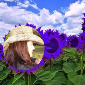 TxTania's profile picture. Human Rights; Stop Arming Israel; Find Missing People; Feeds Lots of Animals; Green Party; Blocks Genocide Deniers; Oxford Comma ❤️