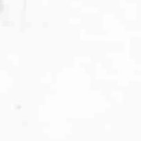 PlugLxrd's profile picture. 