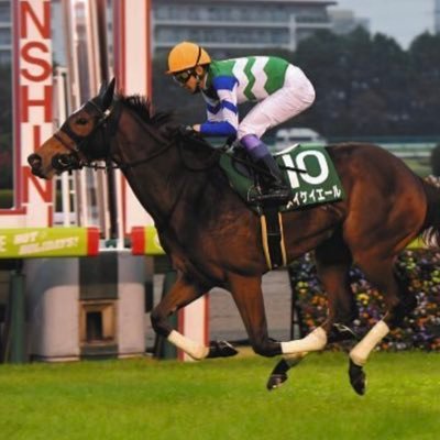 2022年1月〜🏇 展開考察・パドック重視派/師匠は勝手にキーン校長/ツンさん一派🐎/競馬の片手間に大阪で内科医やってます🥼/二児のパパ/推し馬はメイケイエールちゃん✨/自分用ポスト多め