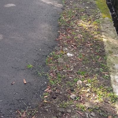 AdamUndik's profile picture. 