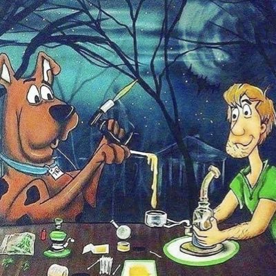 Globrtunity's profile picture. 