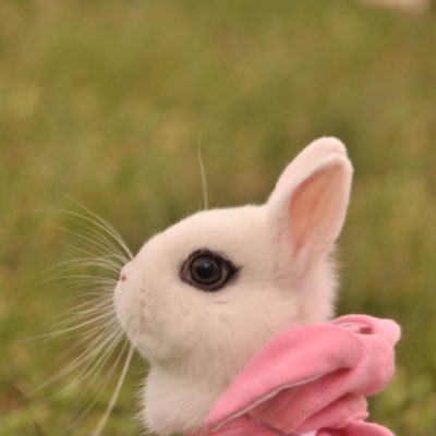 KomugiProgram's profile picture. ブログ:こむぎのプログラミング学習帳の中の人。プログラミングの勉強のアカウントです。 現在はアプリエンジニア。flutter猛勉中。Java/c++/Python/flutterなど