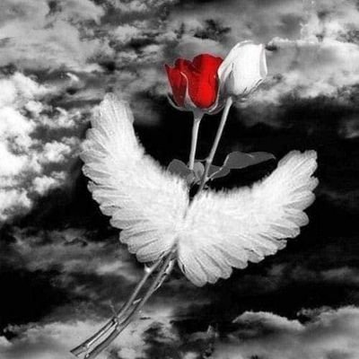 cortesrosy003's profile picture. enamorada de la vida y de Jorge medina