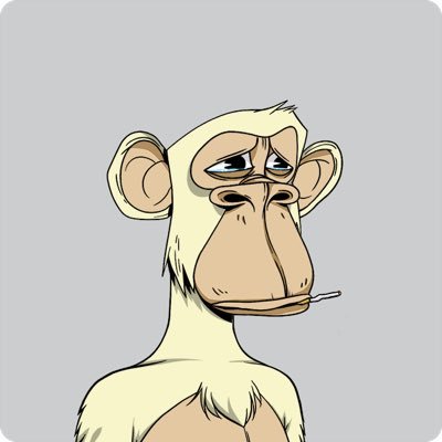 kayverse.eth Profile