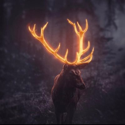 MM_I_XXVIII's profile picture. 