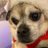 marcine_olsen's profile image