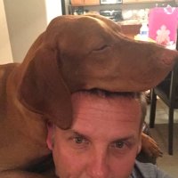 Jeff Liskh (@isp5299) 's Twitter Profile Photo