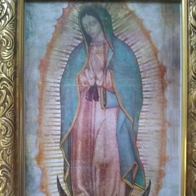 Parte del #RincónGuadalupano🇲🇽, somos miles. /#Rosarioporelmundo #EduardoVerástegui/ Solo cuenta  aquí en X, y para la mayor gloria de Dios y la Virgen María.