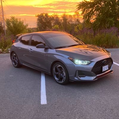 Braedon_66's profile picture. 