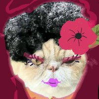 🎀แมวมะลิวรรณเดอร์ของเฮียคนเดียวง่วงนอนตลอดเวลา (@maliisacat2) 's Twitter Profile Photo 🎀แมวมะลิวรรณเดอร์ของเฮียคนเดียวง่วงนอนตลอดเวลา (@maliisacat2) 's Twitter Profile Photo