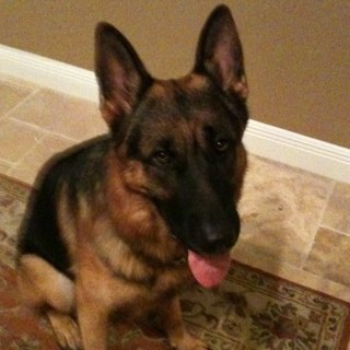 sewall11's profile picture. Let the truth be told and the hypocrisy exposed.