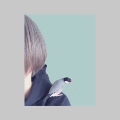 いちまつ。さんのプロフィール画像