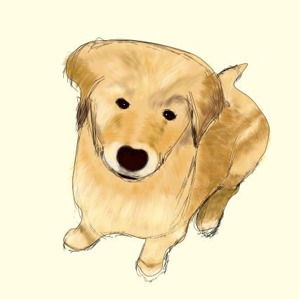 しんたぐま🐫🎀さんのプロフィール画像