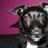 Molly_Mutt's profile image