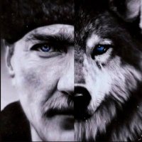 Tur (@greywolfturk) 's Twitter Profile Photo Tur (@greywolfturk) 's Twitter Profile Photo