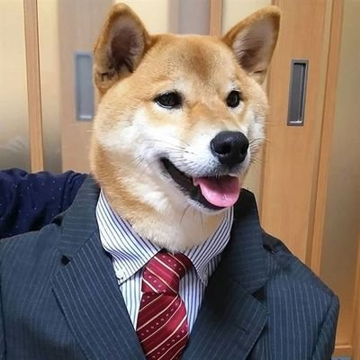 motomoritoani's profile picture. イヌイヌの実を食べたにんにく