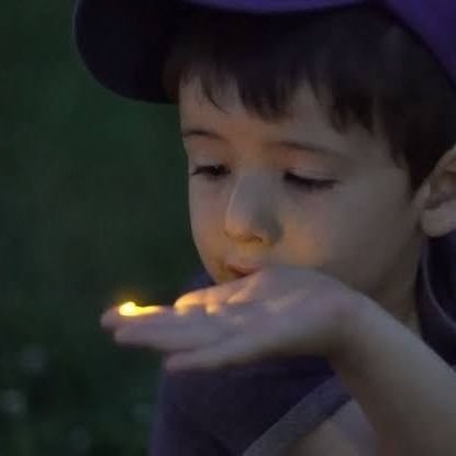 Mehran44850121's profile picture. 