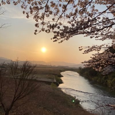 youhey43887373's profile picture. ヨロピク〜