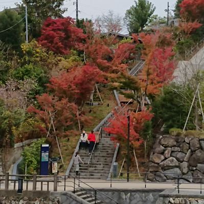 2021年10月末投資開始☘️米国株☘️現物日本株☘️情弱初心者投資家☘️30代サラリーマン☘️雰囲気投資家☘️米株メインを計画中☘️twitterは振り返り備忘録と情報収集の為の目的☘️twitterの作法とかわかってないので無言フォローや勝手にレスします、失礼あればご容赦ください😱😱😱