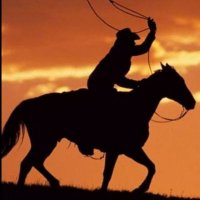 Antônio hamilton (@antham13) 's Twitter Profile