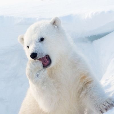 maichi2410's profile picture. 