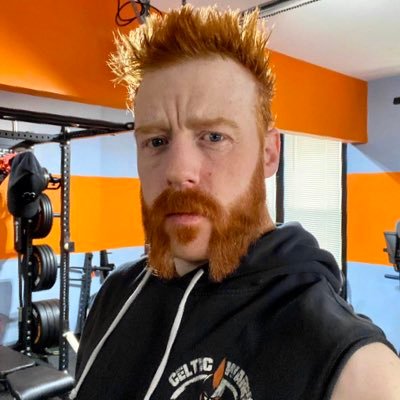 @WWESheamus Fake — Doesn’t matter what’s stepping into my path because if they’re preventing me from gold they’ll be sent running with broken bones and dreams