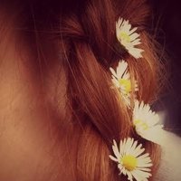 Daisy (@daisysdays1) 's Twitter Profile Photo